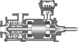 H CAM2