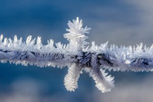 barbed wire, frost, frozen, cold, ice, crystals, hoarfrost, crystal formation, icy, winter, winter impressions, wire, white, nature, rime, close up, frosty, snowy, wintry, frost, frost, frost, frost, frost, frozen, ice, ice, ice, winter, winter
